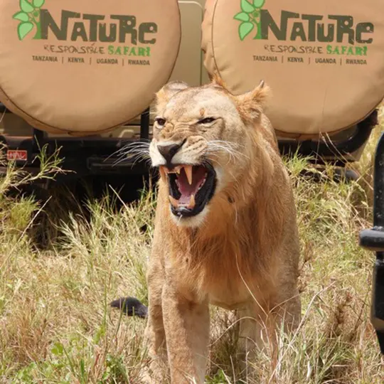 safari-slider-01 Nature Responsible Safari