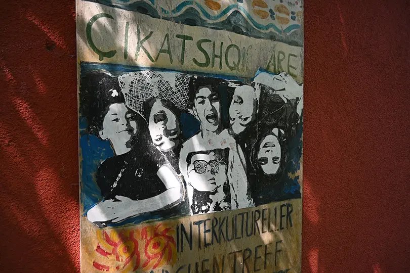 albatros social