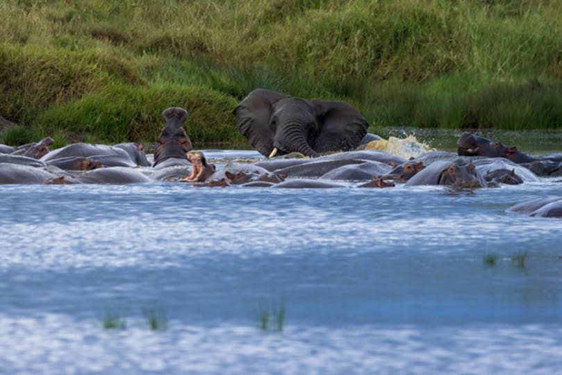 safari-slider-02 Nature Responsible Safari